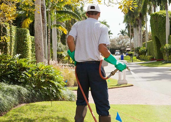 About Graniteville VT Pest Control